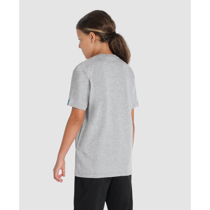 Actual product image Arena Jr Team T-Shirt Panel (152)