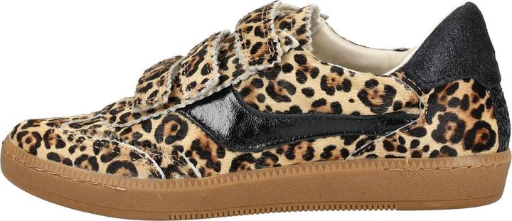 Image du produit Dolce Vita Sneaker (41)