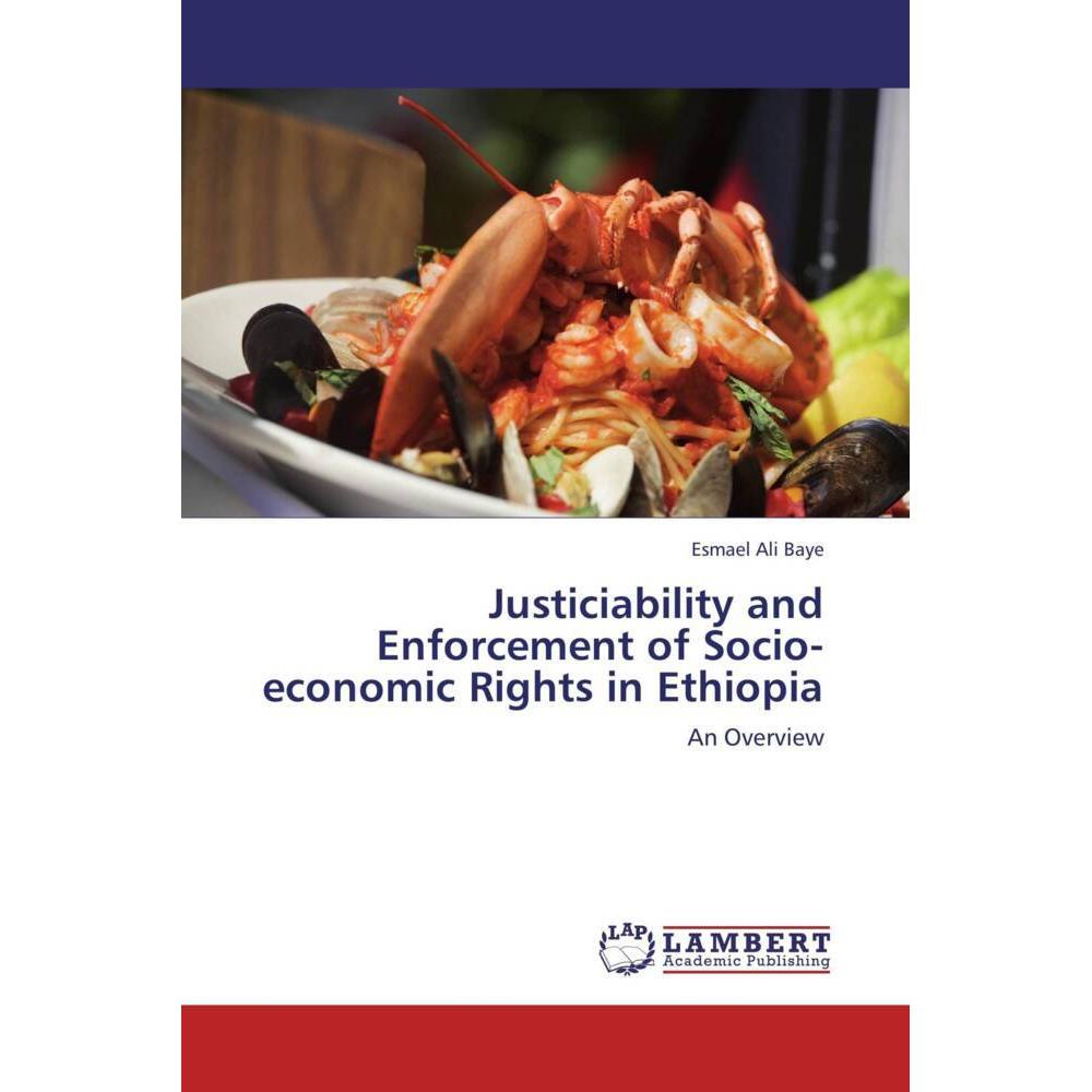 Justiciability and Enforcement of Socio-economic Rights in Ethiopia, Fachbücher