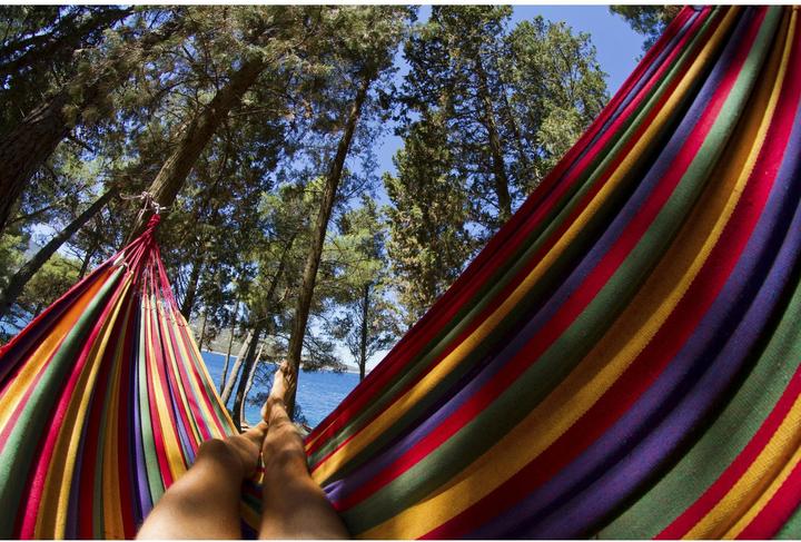 Produktbild Easypix GoXtreme Chest-Mount