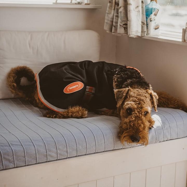 Actual product image Weatherbeeta Comfitec 1200D Therapy-Tec dog coat (45, Dog coat)