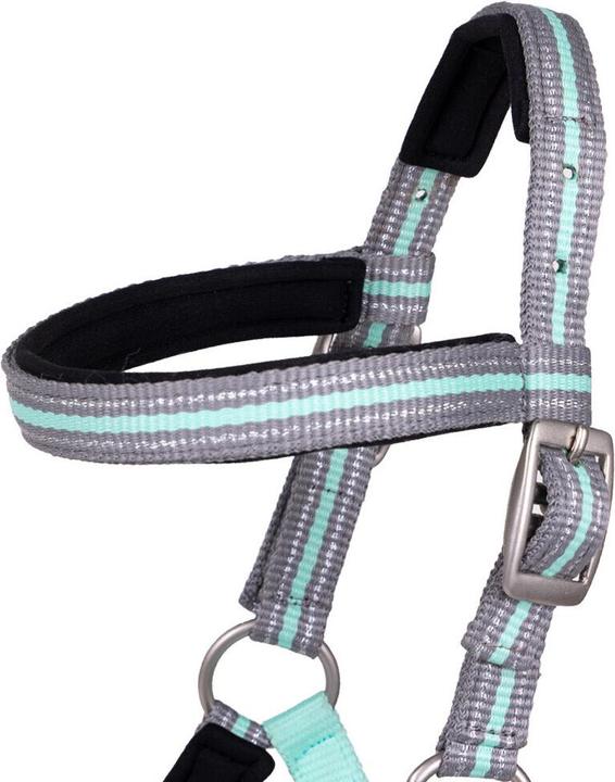 Immagine prodotto Qhp Cavezza per puledro con fascia per le sopracciglia