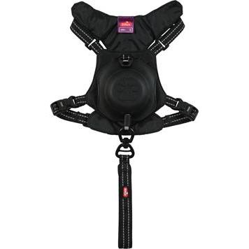 Harnais et laisse enrouleur intégré - ZOLUX - XS - Noir - Pour petit chien jusqu'à 9 kg - Confort optimal