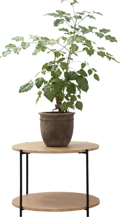 Produktbild Schou Fabian (55 x 55 x 40 cm)