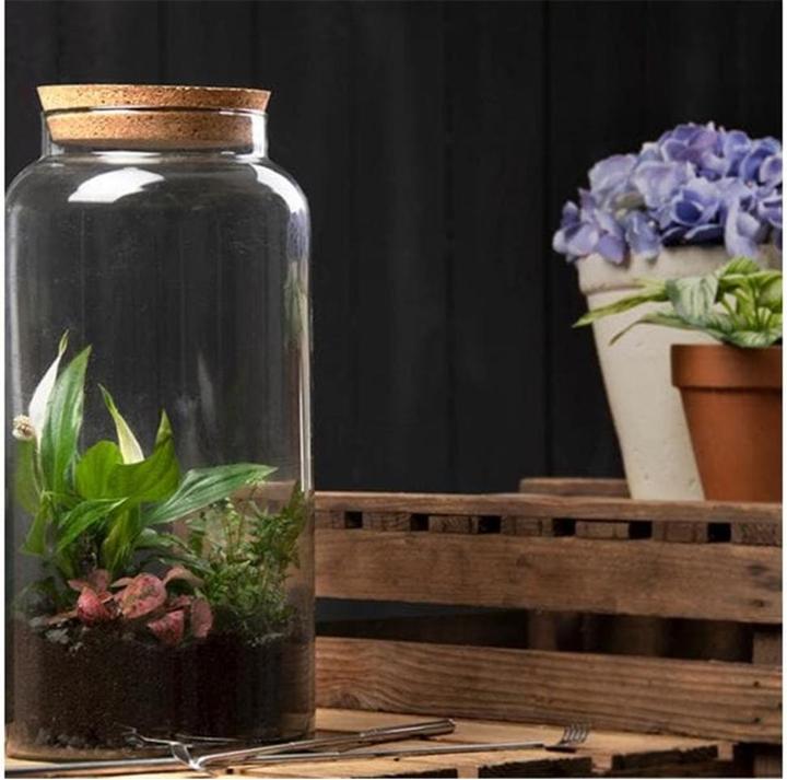 Esschert Design Terrarium