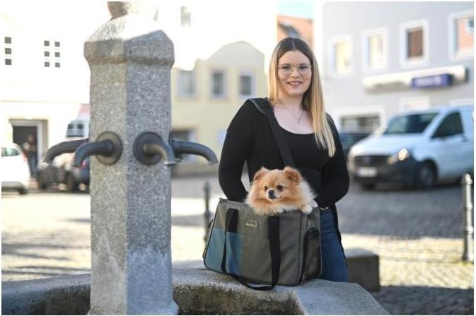 Productafbeelding Kerbl Draagtas vakantie (Hond, Reflectoren, Wasbaar)
