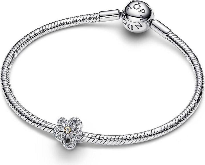 Image du produit Pandora Conta (Argent massif)