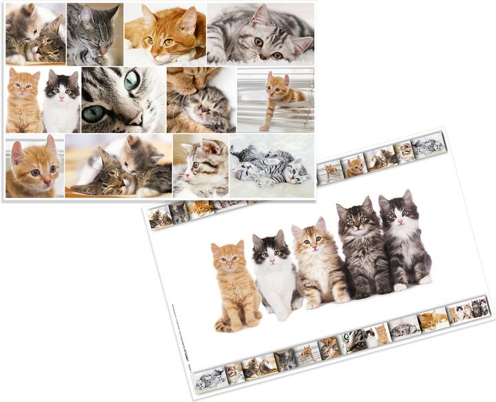 HERMA GmbH Schreibunterlage Katze 55x35cm (55 x 35 cm)