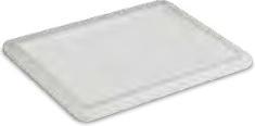Clementi Coperchio 40x30 cm per contenitore di pasta per pizza