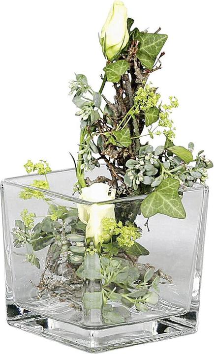 Immagine prodotto Sandra Rich Vaso cubo di vetro 14x14x14cm chiaro (1 x, 14 x 14 x 14 cm)