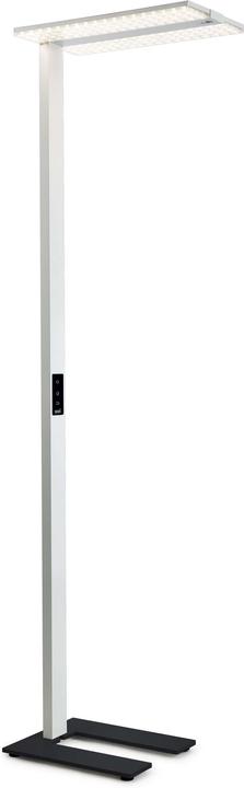 Produktbild Ridi LED-Stehleuchte