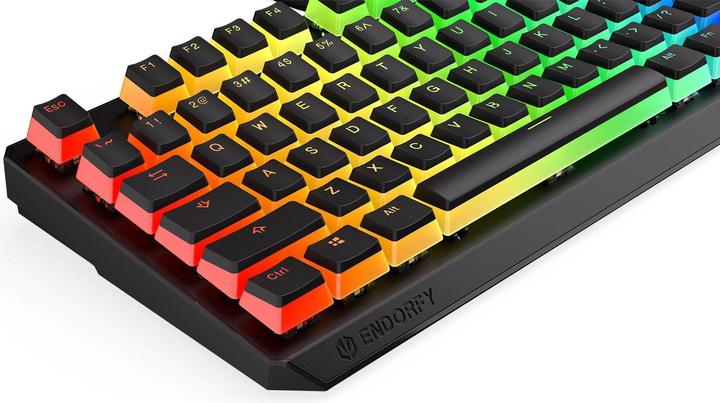 Image du produit Endorfy Thock TKL Pudding (US, Filaire)