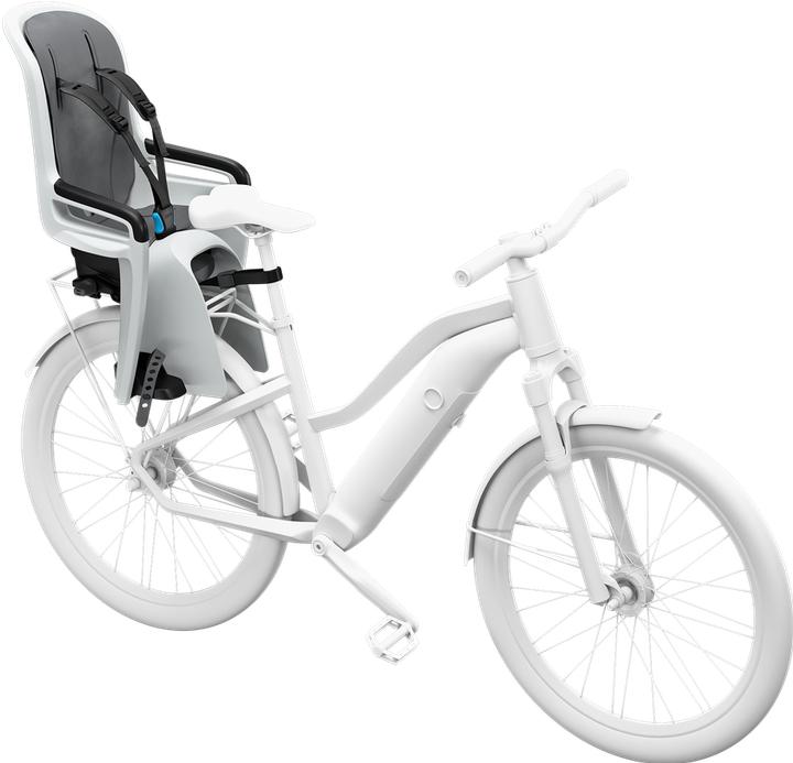 Actual product image Thule Ride Along 2 Rack Mount - Light Grey (Luggage carrier (rear))