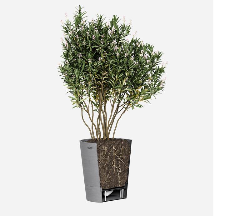 Produktbild Boum Pflanzentopf 15 l (32 cm)