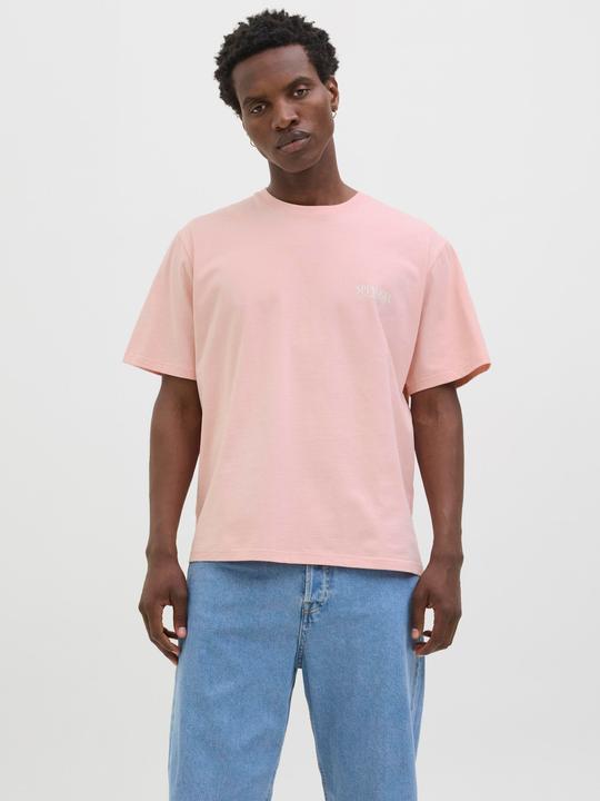 Actual product image Jack & Jones Jorhydra Photo Tee Ss Crew Neck (XXL)