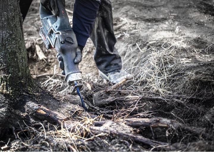 Actual product image Bosch Professional Zubehör Expert Tough Wood