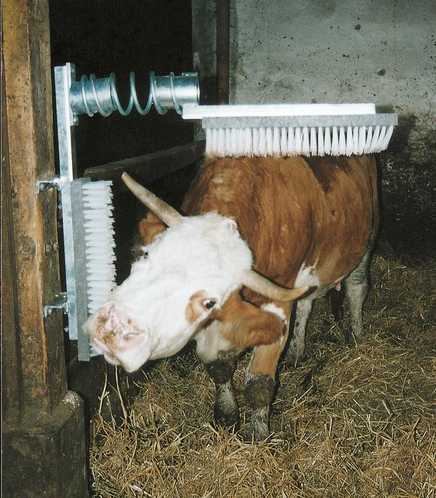 Image du produit Kerbl Brosse à bétail EuroFarm (Chien)