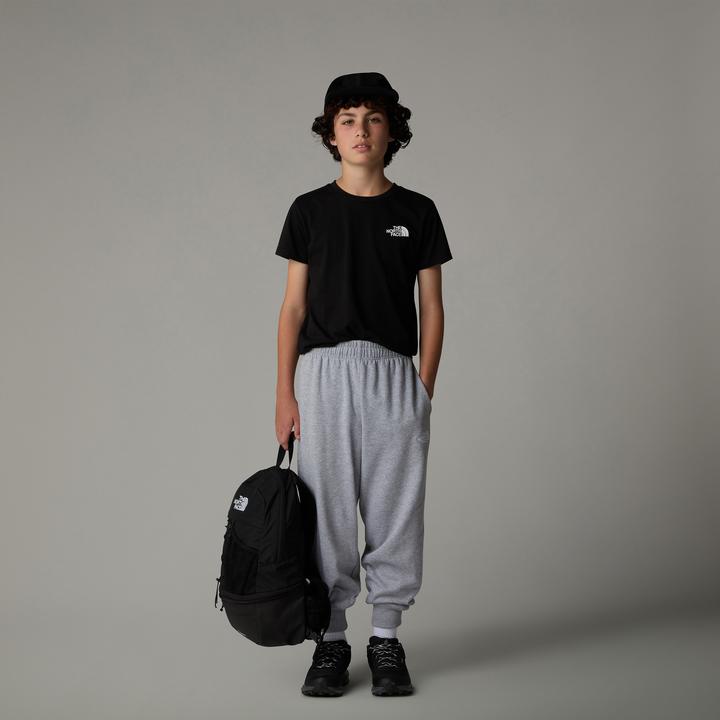 Actual product image North Face Teen Simple Dome (L)