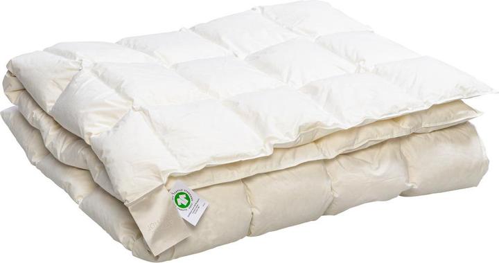 Johann Jakob Luna-Bio-Daune Light