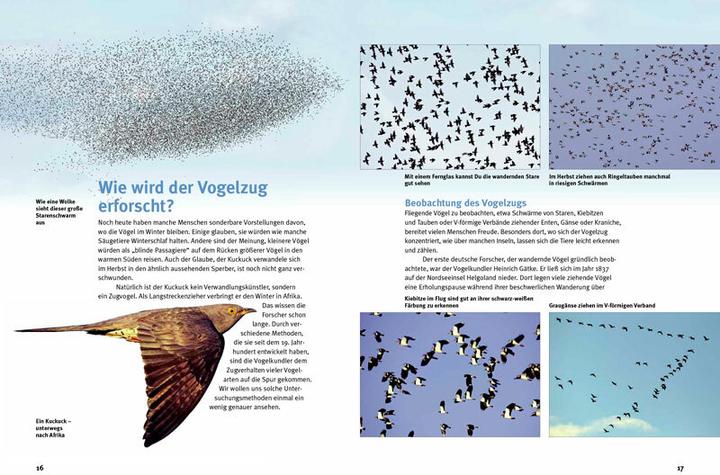 Produktbild Entdecke die Zugvögel (Deutsch, Thomas Schmidt, 2014)