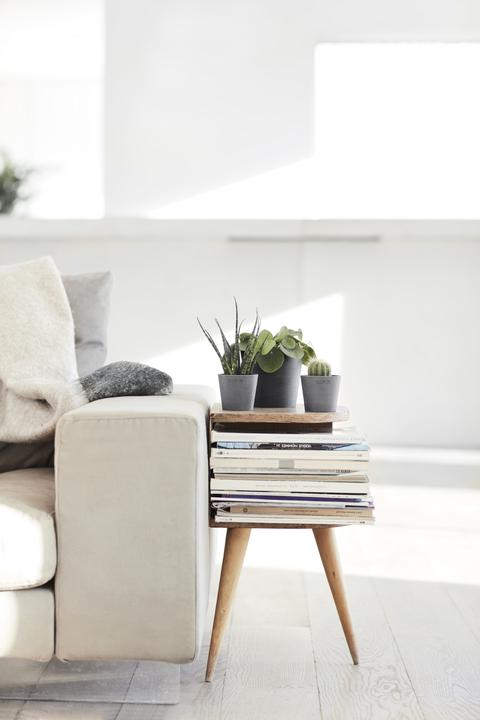 Actual product image Ecopots Amsterdam Mini (8 cm)