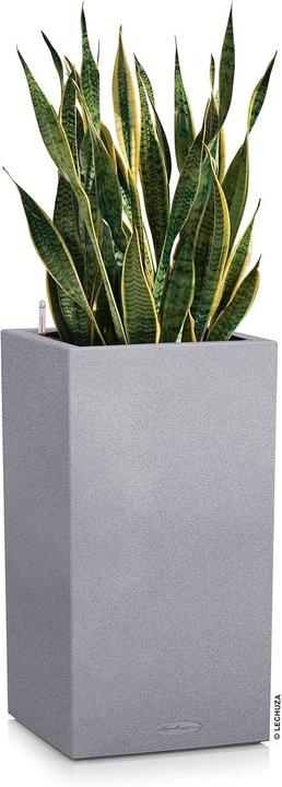 Image du produit Lechuza Colonne Canto Color (30 x 30 x 56 cm)