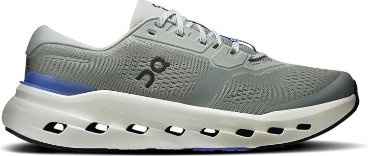 grau-blauer, Pflaume, Pflaume4422