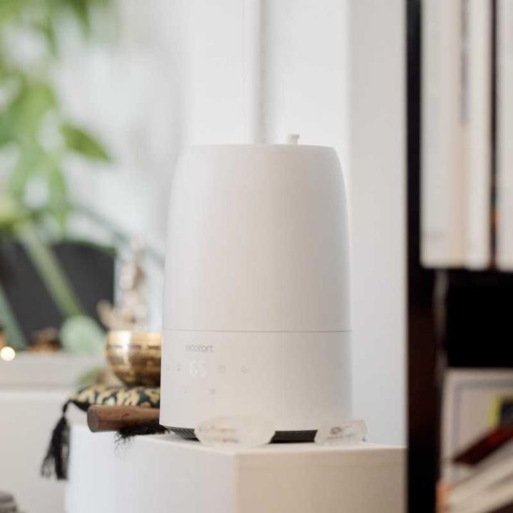 Actual product image ecofort ecoQ HumidAir U250 (35 m²)