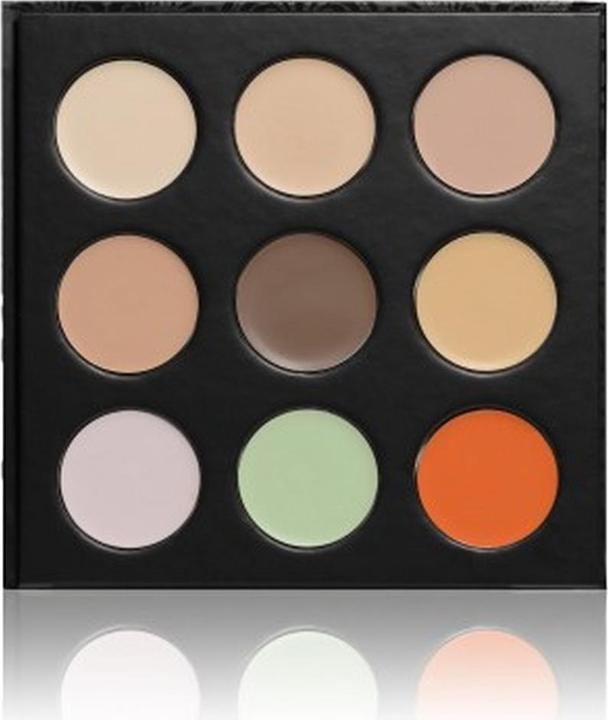 Actual product image Palette Professional Makeup Concealer