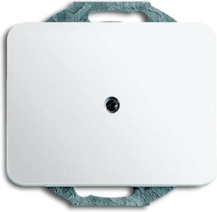 Image du produit Busch-Jaeger Disque central