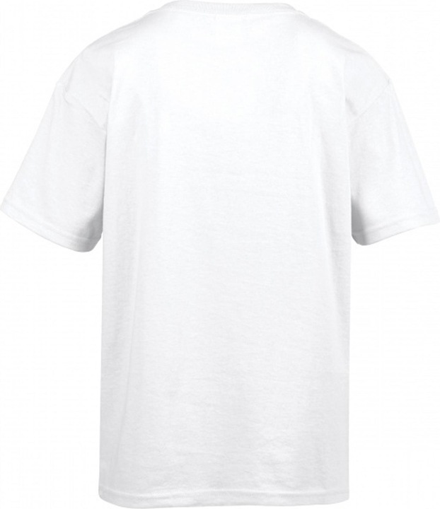 Actual product image Gildan Mens Softstyle T-Shirt (L)