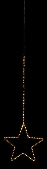 Immagine prodotto STT Storno giavanese