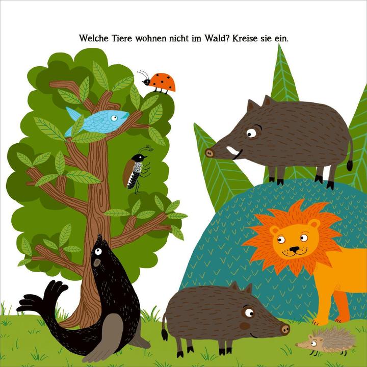 Produktbild Naturrätsel im Herbst (Deutsch, Eleanor Sommer, 2024)