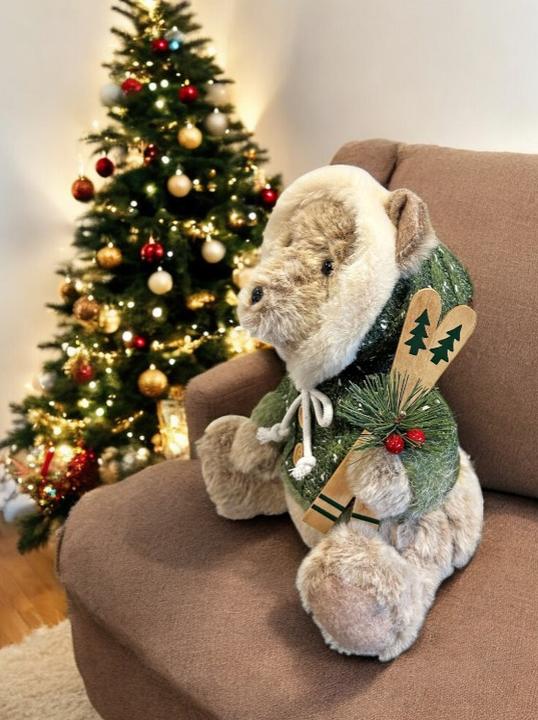 Image du produit GuGus Deko Bär