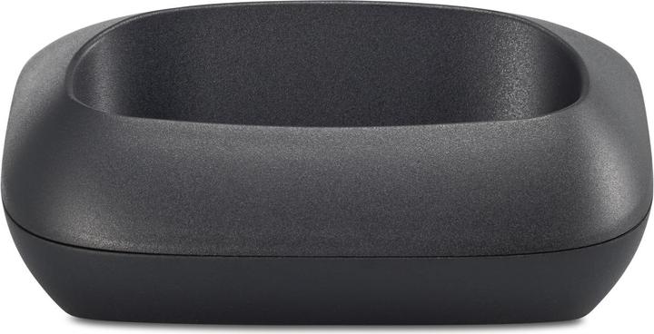 Actual product image Gigaset GL590 Dual SIM - Pearl-white (Pearl White, Titanium Pearl White, 2.80", Dual SIM, 2G)