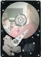 Productafbeelding Seagate Pijpleiding HD ST3320311CS (0.32 TB, 3.5")