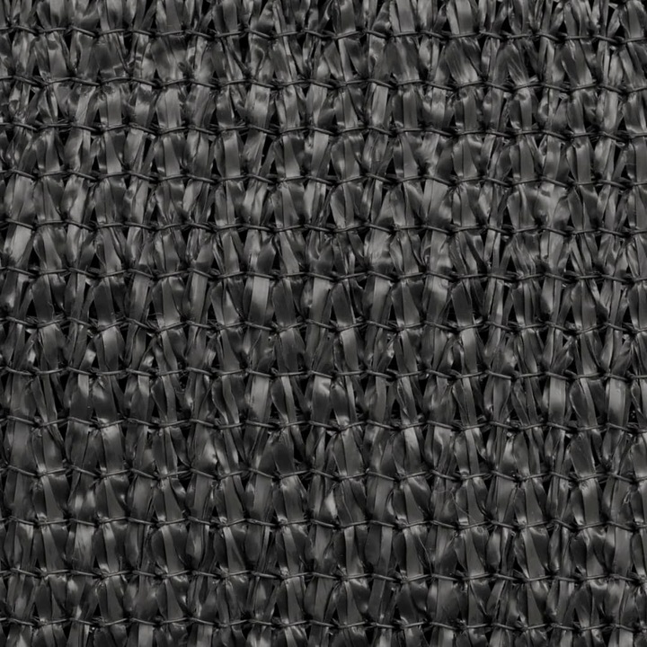 Image du produit VidaXL Alethea (200 x 400 cm)