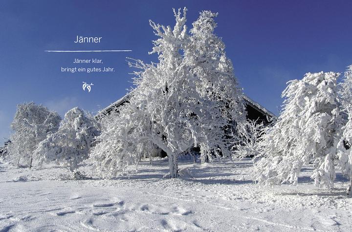 Produktbild Mein Garten im Winter (Deutsch, Elke Papouschek, 2014)