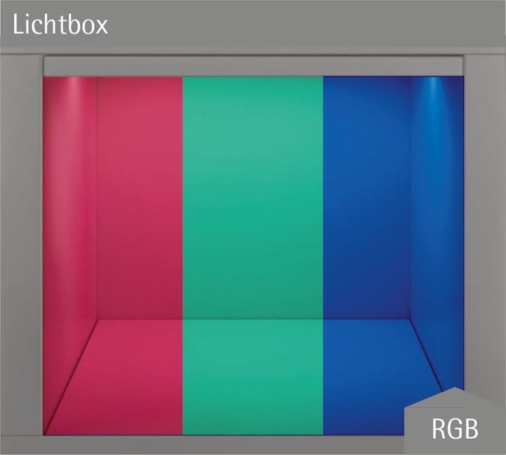 Immagine prodotto Halemeier Strisce LED Versa Inside MultiColor RGB / 24 V (Multicolore, 0.50 cm, Interno)