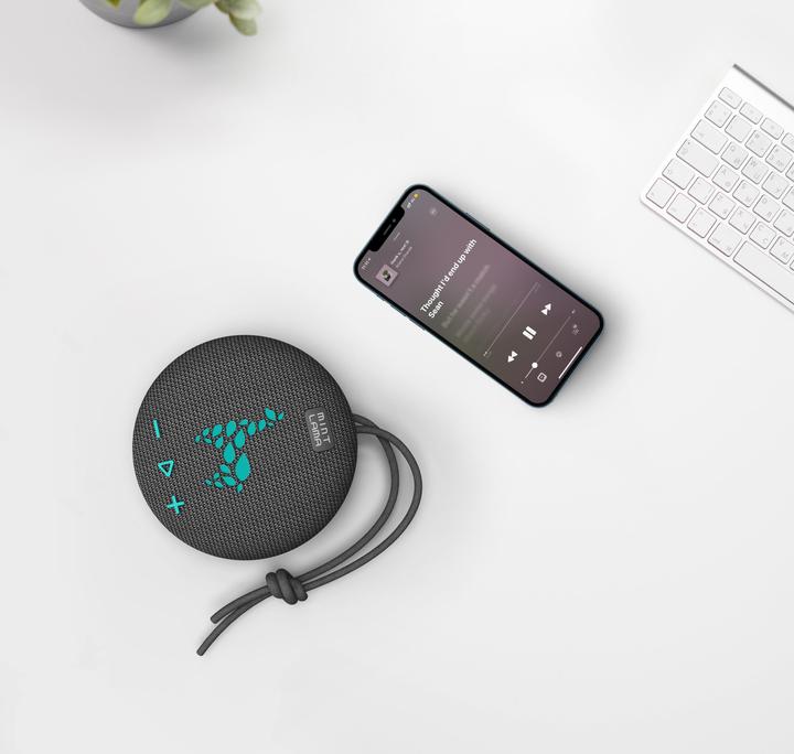 Actual product image Mint Lama Lamabeat 1 (4 h)