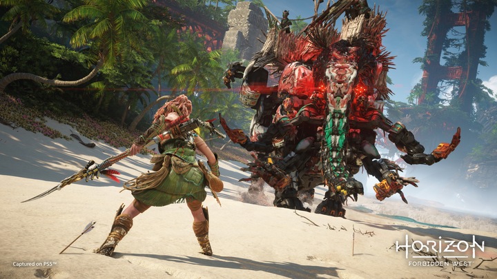 Produktbild Sony Horizon: Forbidden West Standard Multilingual PlayStation 4 (PS4, FR)