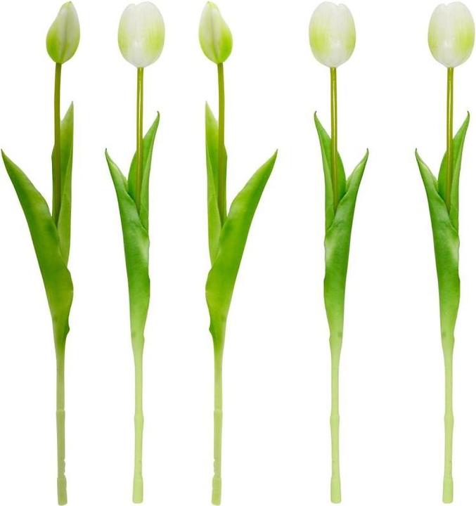 Produktbild Saska Garden Bukiet 5 Tulipanów Białych 39cm Jak żywych Dekoracja Wiosenna