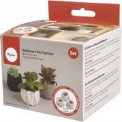 Image du produit Rayher Silikon Giessform "Mini Töpfchen"