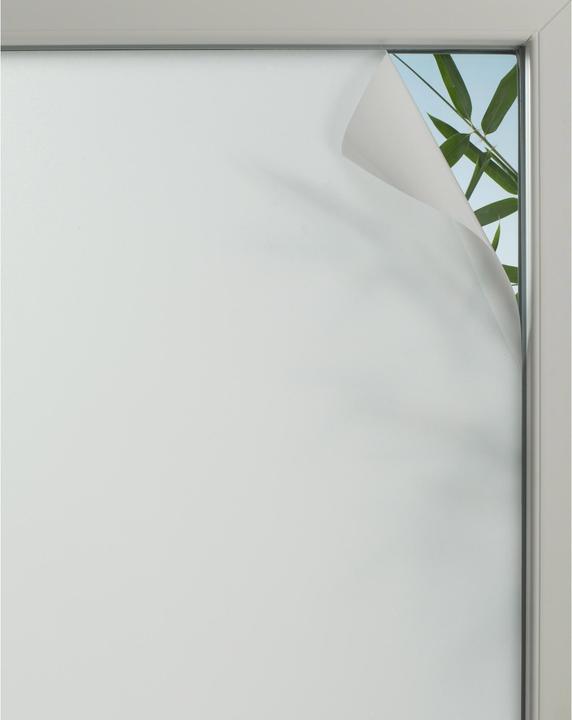 Gardinia Privacy (90 x 150 cm)