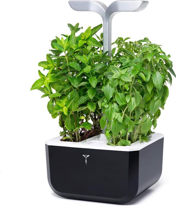 Produktbild Véritable Smart (20 x 18.20 x 45.60 cm)