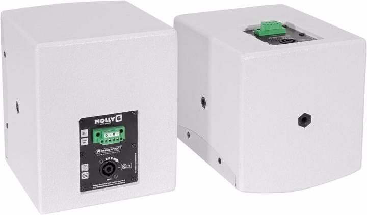 Immagine prodotto Omnitronic Molly-6 altoparlante monitor attivo 17,27 cm 6,5" 130 W 1 coppia (Attivo, 1x 260 W)