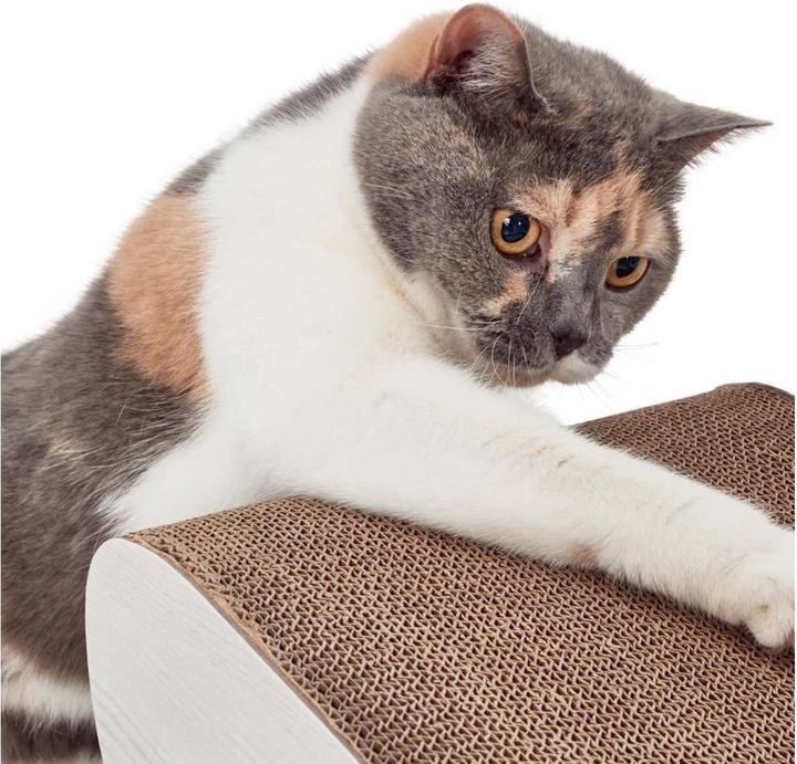 Actual product image CanadianCat Satellite 2.0 (Light grey)