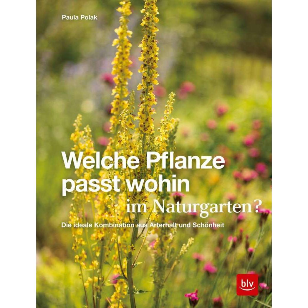 Welche Pflanze passt wohin im Naturgarten?, Sachbücher von Paula Polak