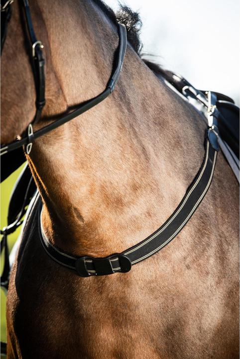 Produktbild HFI Master Bricole Reiten elastisch einfach