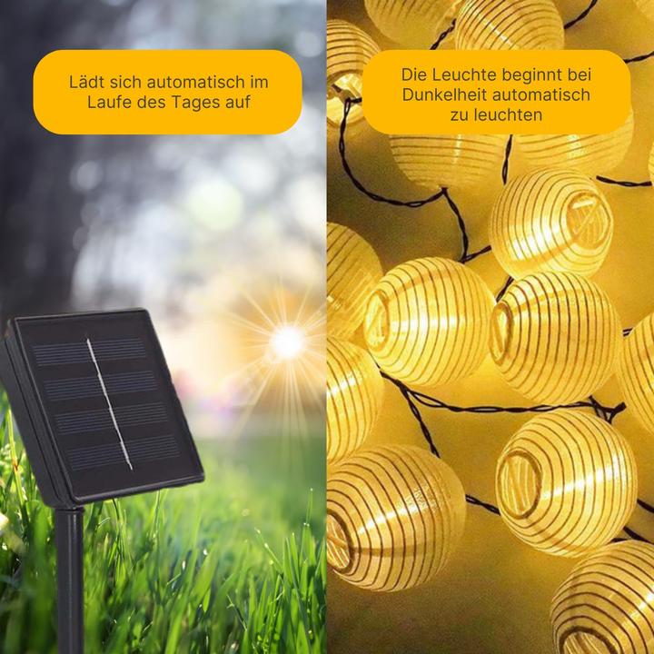 Actual product image Hermex LED fairy lights (6.50 m)